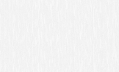 Обои 2512АВ-125 Ateliero Рейн антивандальные под окраску 1,06*25м (4)